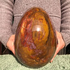 20.4LB Natural wood fossil Quartz Crystal egg Mineral specimen Healing