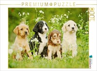Calvendo Puzzle Colorful Dogs | 1000 Pieces, Finished Size 25.2 × 18.9 In (64 ×