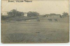 Lebanon - RAYAK - Village Tirboule - Camels