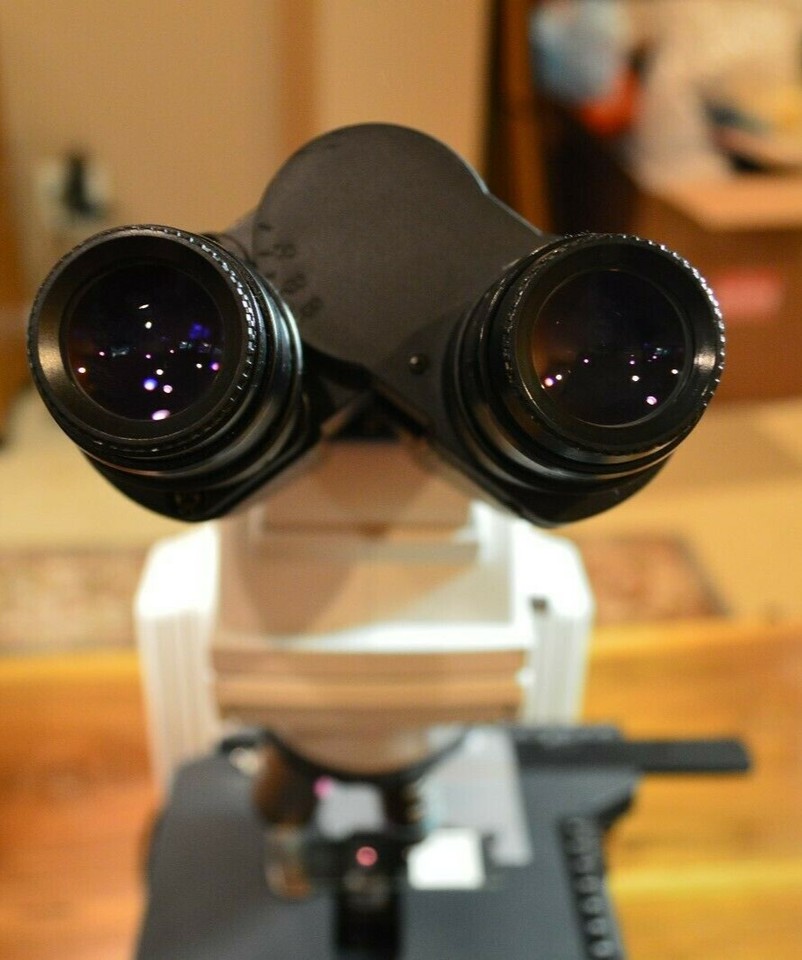 Nikon Eclipse E400 microscope with ergo head and 4 plan objectives | eBay
