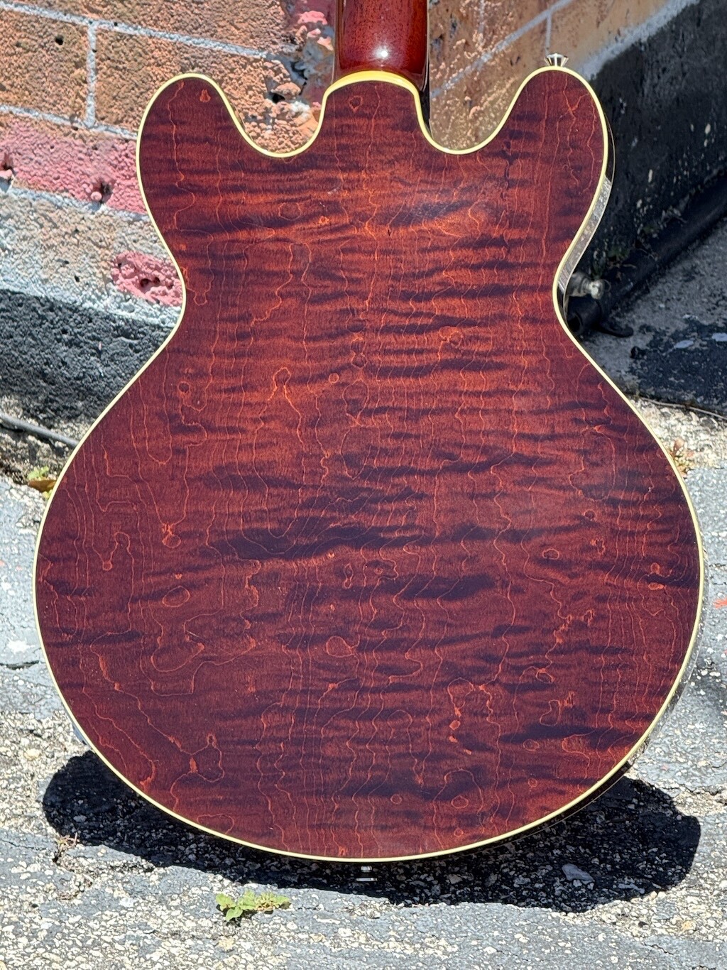 Picture 5 of 15