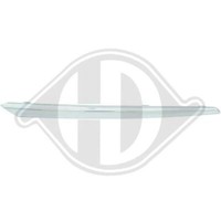 Diederichs 6660042 Zier-/Schutzleiste, KüHlergitter
