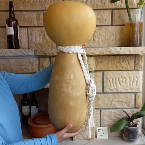 Großes hawaiianisches Ipu Heke Schlaginstrument, natürliches Ipu Heke Rhythmusinstrument, - Video 1 von 1