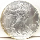 1996 American Silver Eagle