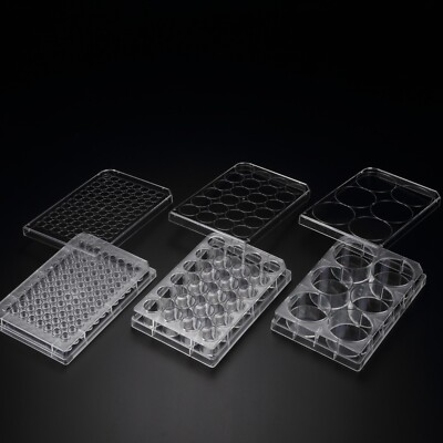3D Cell Floater Plate, PS, 6/24/96-well, 1/Pack, 5/Case