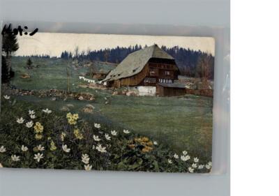 50234032 - Black Forest Painter