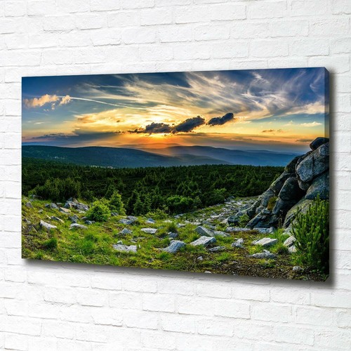 Tableau Toile Imprimé Panorama Montagne 80x30cm Avec Châssis - Déco Murale Moderne