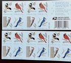 US Birds in Winter Booklet Pane of 20 Forever Stamps MNH 2018 USPS