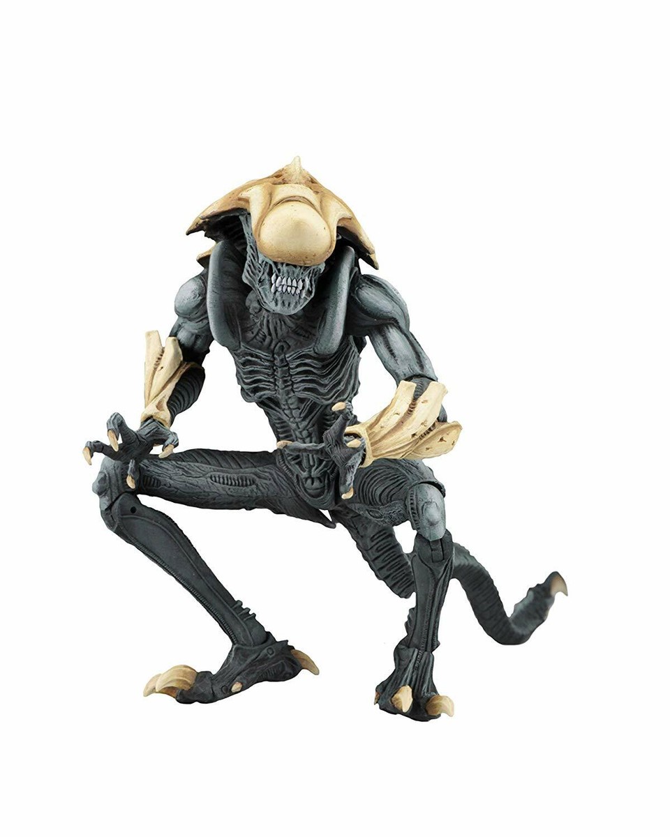 NECA ネカ クリサリス エイリアン AVP プレデター Alien vs. Predator ~ CHRYSALIS ALIEN ACTION FIGURE ~ NECA AVP