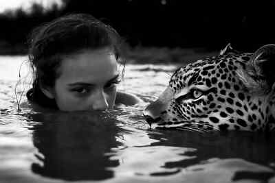 Fotokunst Der Blick der Wildnis   Mensch und Leopard 5472012 Hochwertiges Exk...