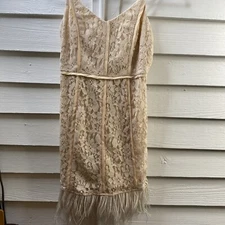 Lace Dress w/ Feather Hem Cottage Blush Pink Y2K NWT Cottage Fairy Ethereal Core