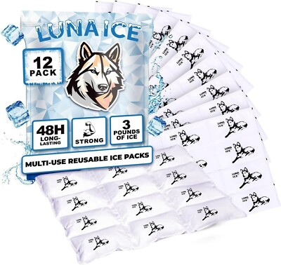 #ad #ad quot;Ice Pack Bulk Dry Ice for Shipping Frozen Food Lunch Box Ice Packs 3 Pounds 48 $15.99