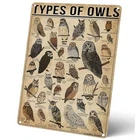 Types Of Owls Vintage Metal Signs, Educational Poster Tin Signs for Home