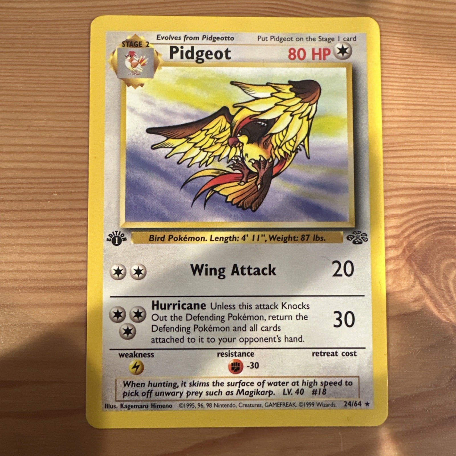 Pokémon TCG Pidgeot 1st Edition Jungle non holo Rare 24/64 NM