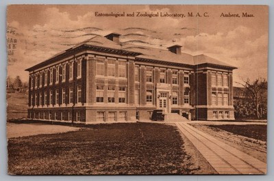 Entomological And Zoological Laboratory M A C Amherst MA 1909 Postcard TS-255