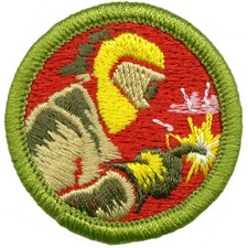 Boy Scout Current Design Merit Badge Welding