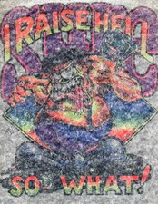 SURE I RAISE HELL iron on t shirt transfer vintage 70s full size NOS