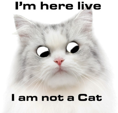 I'm here live, I am not a Cat Vinyl Aufkleber 85mm Quadrat Zoom Online Treffen Anwalt