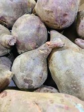 Ube Bliss: Fresh Purple Yam, Perfect for Dess...