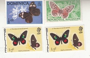 BUTTERFLIES. Dominica, Malagasy Republic, Belize. Myscelia Antholia Fahafana MNH