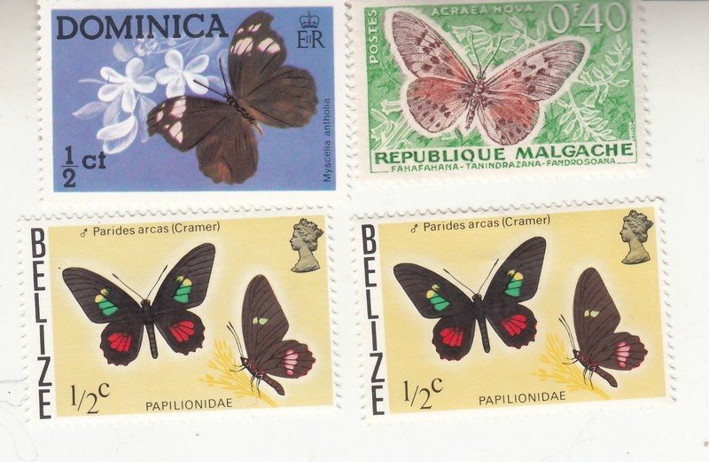 BUTTERFLIES. Dominica, Malagasy Republic, Belize. Myscelia Antholia Fahafana MNH