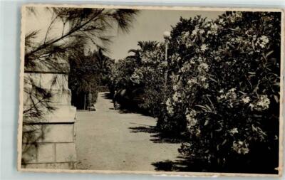39578418 - Castelnuovo Deo parka Hotela Boka Castelnuovo / Herceg Novi