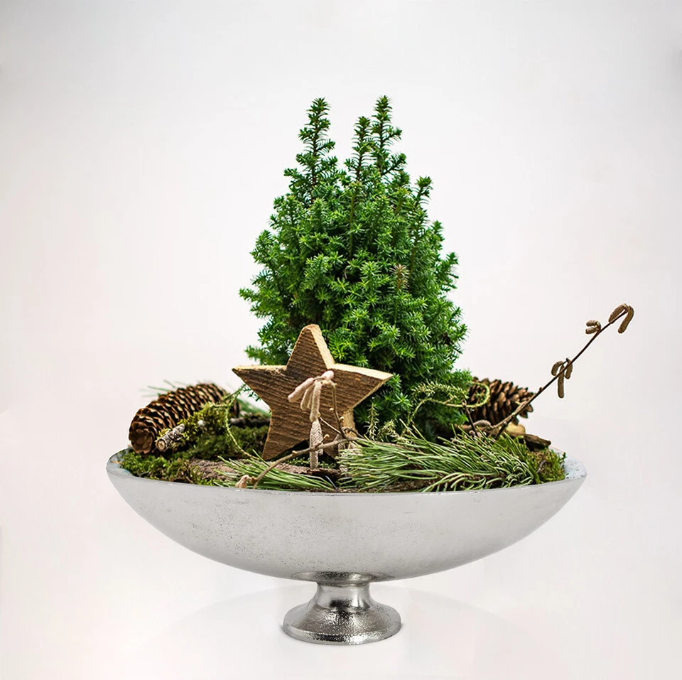 Boho Deko Schale Silber Tisch Deko Dekoschale Silber Flur Deko Obstschale Silber - Bild 2 von 4