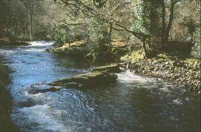 Foto 6x4 Horseshoe Falls, River Dart, 2000 Holne auch gezeigt im WW C2000