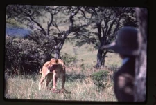 Out of Africa Meryl Streep scene with lion Original 35mm Transparency Stamped 