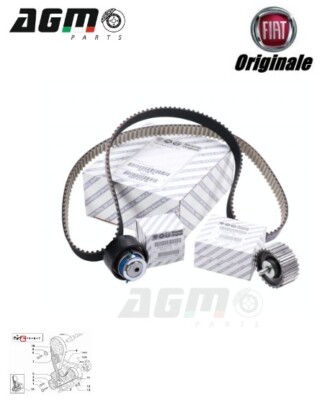 Kit Messa In Fase Distribuzione Multijet 2.3/3.0 - Per Fiat Ducato, Iveco Daily, Citroen, Peugeot - Foto 6