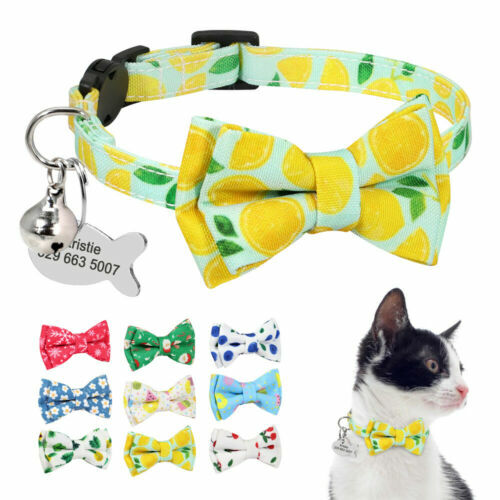 3er Set Süße Katzenhalsbänder Mit Glöckchen – Abnehmbar Und Sicher Für Deine Miez!