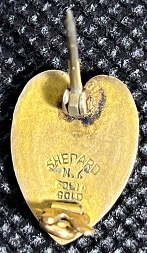 Antiguo Pin 1909 Escuela Secundaria YPS Oro Sólido Búho Esmalte Raro - Imagen 4 de 8