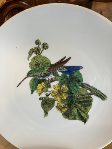 Regal Birds by Royal Limoges France - Twelve Vintage Bird Themed Salad Plates - Picture 7 of 9