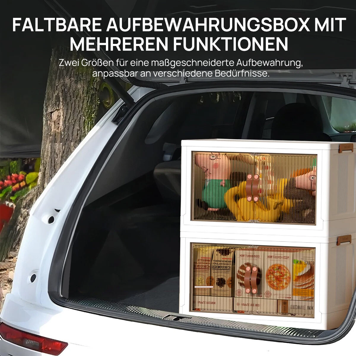 Bild 8 von 23