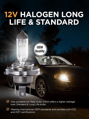 Ignite H16 Halogen Globe 12V 19W fits Subaru Forester 2.5 SK AWD (IGL2162BL) - Picture 4 of 12