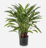 Artplants Deko Pflanze Calathea Rufibarba Adelfriede, GrüN, 90Cm