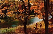 Sparkling Stream Fall Forestry Shining Sun Men Hunting New England Postcard UNP
