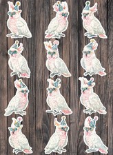 Party Cockatoo Die Cut Vinyl Stickers Scrapbooking Laptop Waterbottle