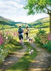 Birthday Card - Dog Walking Hiking - Country Cards Quality NEW
