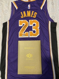 lebron james signed jersey ebay