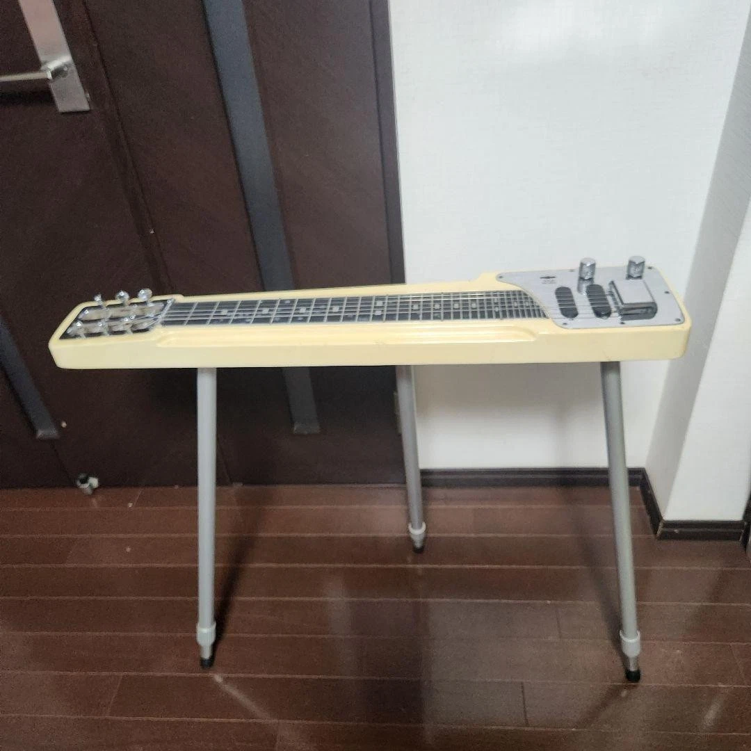 lap steel guitar case products for sale | eBay