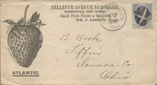 Advertising Cover  Hammonton NJ Bellevue Avenue Nurseries Strawberries 1884
