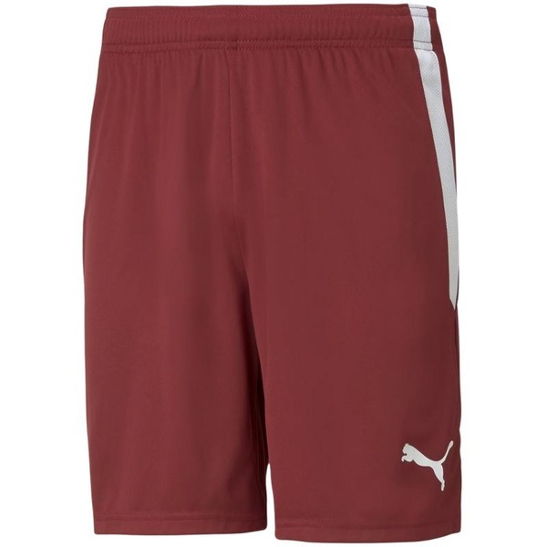 Spodenki Puma Teamliga M 704924 09 - M Puma-image