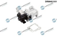 Dr.Motor Automotive DRM461101 Agr-Ventil FüR CitroËN Passend FüR Fiat Ford