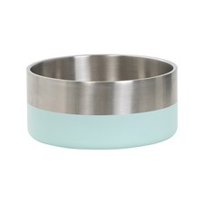 Baxter Bone Medium Mint Stainless Steel Double Walled Pet Bowl