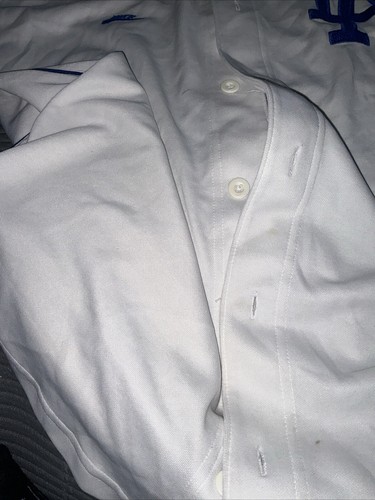 Nike Los Angeles Dodgers Manny Ramirez #99 Jersey - Picture 9 of 21