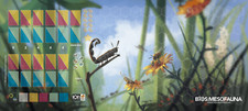 Bios Mesofauna Megafauna Neoprene Mat Ion Game Design Expert Board Game