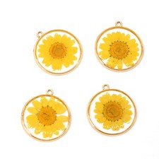 4PCS Gold Tone Real Dry Yellow Daisy Flower Resin Round Charm Pendant GBY1004