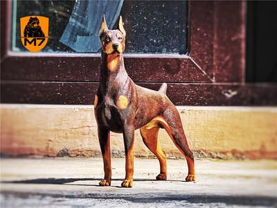 doberman figure