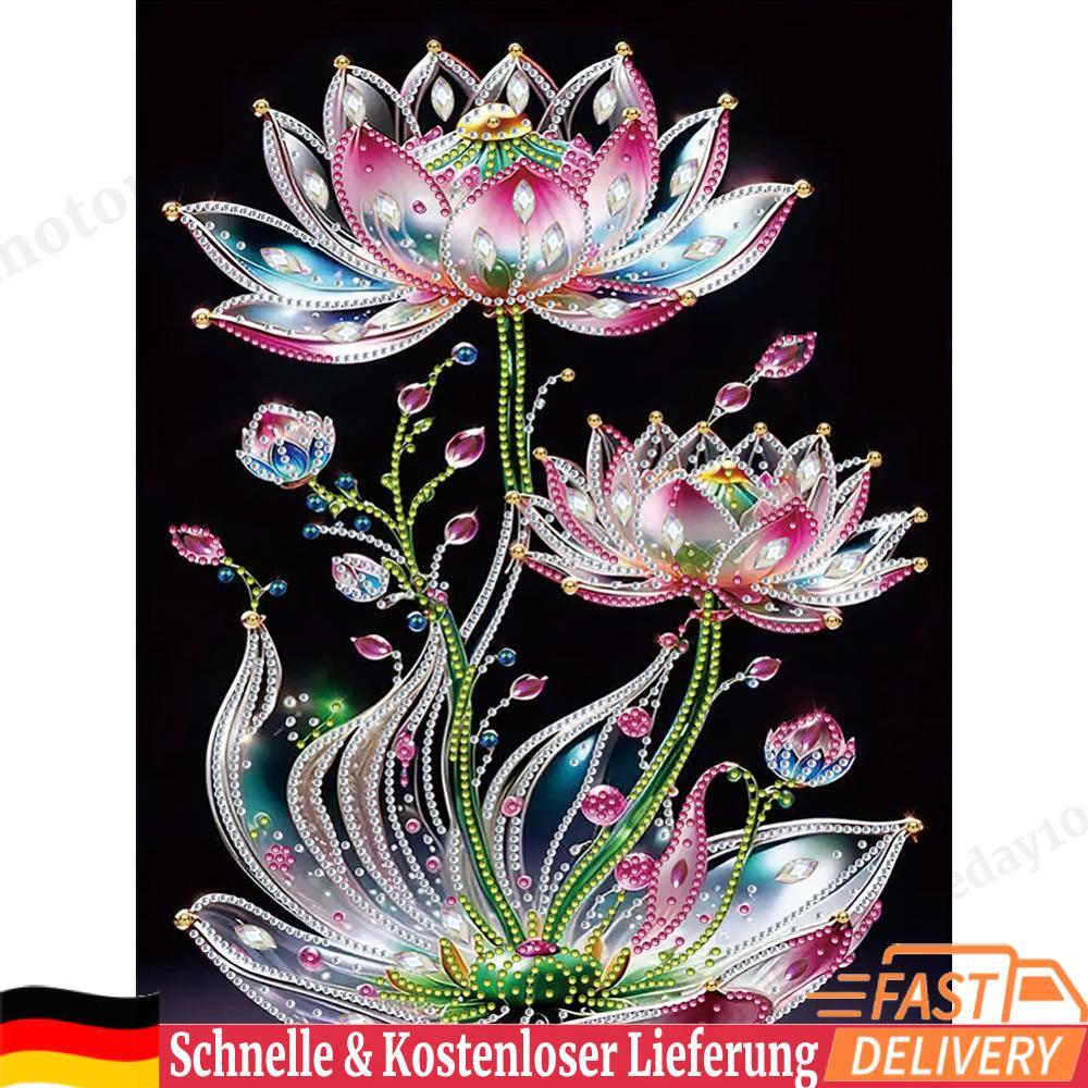 Bild 1 von 12